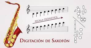 Digitacion de Saxofón 🎷 | Saxo Tenor o Soprano (🤔 Como tocar Saxo 🙋🏻‍♀️) ▶️ Escala Cromática