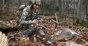 * MOUNTAIN BUCK DOWN * Public Land Deer Hunting in Pennsylvania