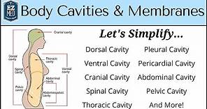 Body Cavities and Membranes: Drawn and Defined [Anatomy Physiology]