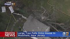 Large tree falls onto house in Westfield, New Jersey