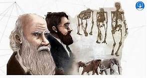 Teoría evolutiva de Darwin Wallace