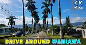 WAHIAWA Neighborhood | Drive Around Wahiawa | Oahu 🌴 Hawaii 4K Driving
