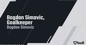 Bogdan Simovic, Goalkeeper