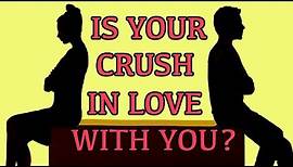 Does Your Crush Like You? How to know if Your Crush Likes You - Love Test | Mister Test