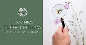 Discover The Untold Story of The Grootbos Florilegium 🌷