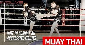 How To Combat An Aggressive Fighter In Muay Thai | Evolve MMA