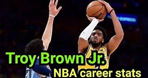 Troy Brown Jr. NBA career stats