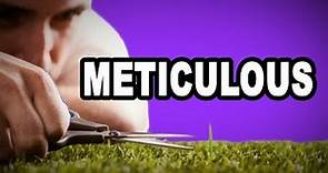 Learn English Words: METICULOUS - Meaning, Vocabulary with Pictures and Examples