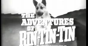 Meet Rin Tin Tin [S1, Ep1] The Adventures of Rin Tin Tin