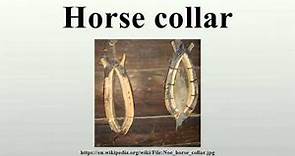 Horse collar