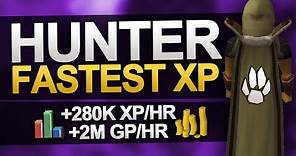 Fastest Hunter XP in OSRS (ft. Thurco)