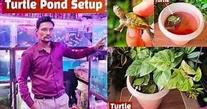 Buying Turtle from Pari Aquarium shop & Setup Turtle Pond || Turtle Pond Setup || Pari Aquarium