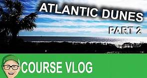 Atlantic Dunes Part 2