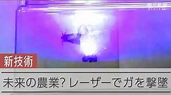害虫のガをレーザーで撃ち落とす新技術＝大阪大学レーザー科学研究所提供