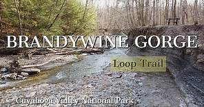 Brandywine Gorge waterfall hike - Cuyahoga Valley National Park trail