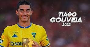 Tiago Gouveia - He Was Born to Dribble