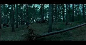 Harry Potter e i Doni della Morte - Il primo trailer in HD