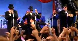 New Orleans - The Blues Brothers & The Louisiana Gator Boys