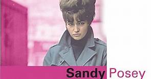 34 Great American Songs | Sandy Posey Lyrics, Meaning & Videos