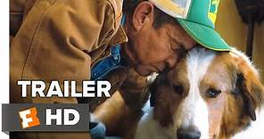 A Dog's Journey Trailer #1 (2019) | Movieclips Trailers