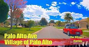 Palo Alto Avenue in the Village of Palo Alto, The Villages【4K】