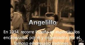 Angelillo -- Camino Verde