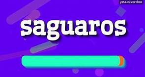 SAGUAROS - HOW TO PRONOUNCE IT!?