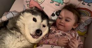 Husky Wakes My Baby & Wife Up In The Cutest Way!😭. [BABY IS SO SASSY!!!]