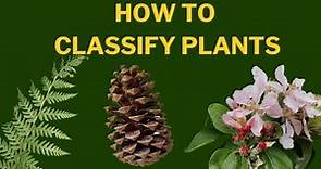 Learn Plant Classification | The Plant Kingdom