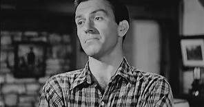 Hugh Beaumont, Mexican Spitfire's Blessed Event 1943