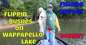 Wappapello Lake May 2020 Fishing Report with Phil Meyer