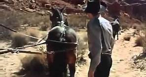 Western movies full length A Man Alone 1955 best western movies all of time