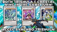 Yu-Gi-Oh! Duel Links || THIS NEW SHIRANUI CARD ENABLES ACCEL SYNCHRO TRISHULA! NEW STARDUST VERSION!