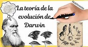 La teoría de la EVOLUCIÓN de DARWIN