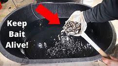 Keep Bait Alive ALL Winter Long! (How to Minnow Tank Build DIY)