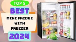 5 Best Mini Fridge with Freezer 2024