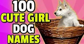 100 Cute Names For A Girl Dog 🎀 | Female Dog Names