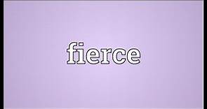 Fierce Meaning