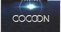 Cocoon - L'energia dell'universo - streaming online
