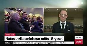 Tobias Billström (M) ger Jimmie Åkesson rätt