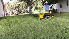Extra THICK yard clean up - Satisfying OVERGROWN lawn MAKEOVER
