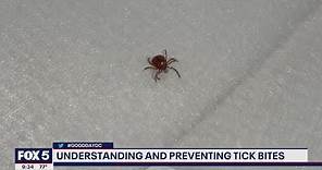 Tick bites and lyme disease: How to recognize and prevent them | FOX 5 DC