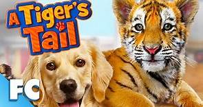 A Tiger's Tail | Full Family Comedy Animal Movie | Greg Grunberg, Christopher Judge | Family Central