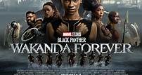 Black Panther: Wakanda Forever - Película - 2022 - Crítica | Reparto | Estreno | Duración | Sinopsis | Premios - decine21.com