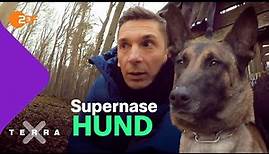 Supernasen. Polizeihunde auf Spurensuche | Terra X plus