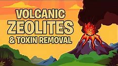 Volcanic Zeolites & Toxin Removal