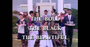 Robert Townsend Partners in Crime - The Bold,The Black,The Beautiful