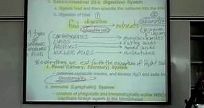Intro to Human Physiology by Professor Fink