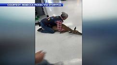 Walmart employee tackles, pins deer found in Baraboo, Wisconsin store