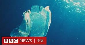 塑料袋冷知識：原來膠袋起初是一項環保的工具！－ BBC News 中文